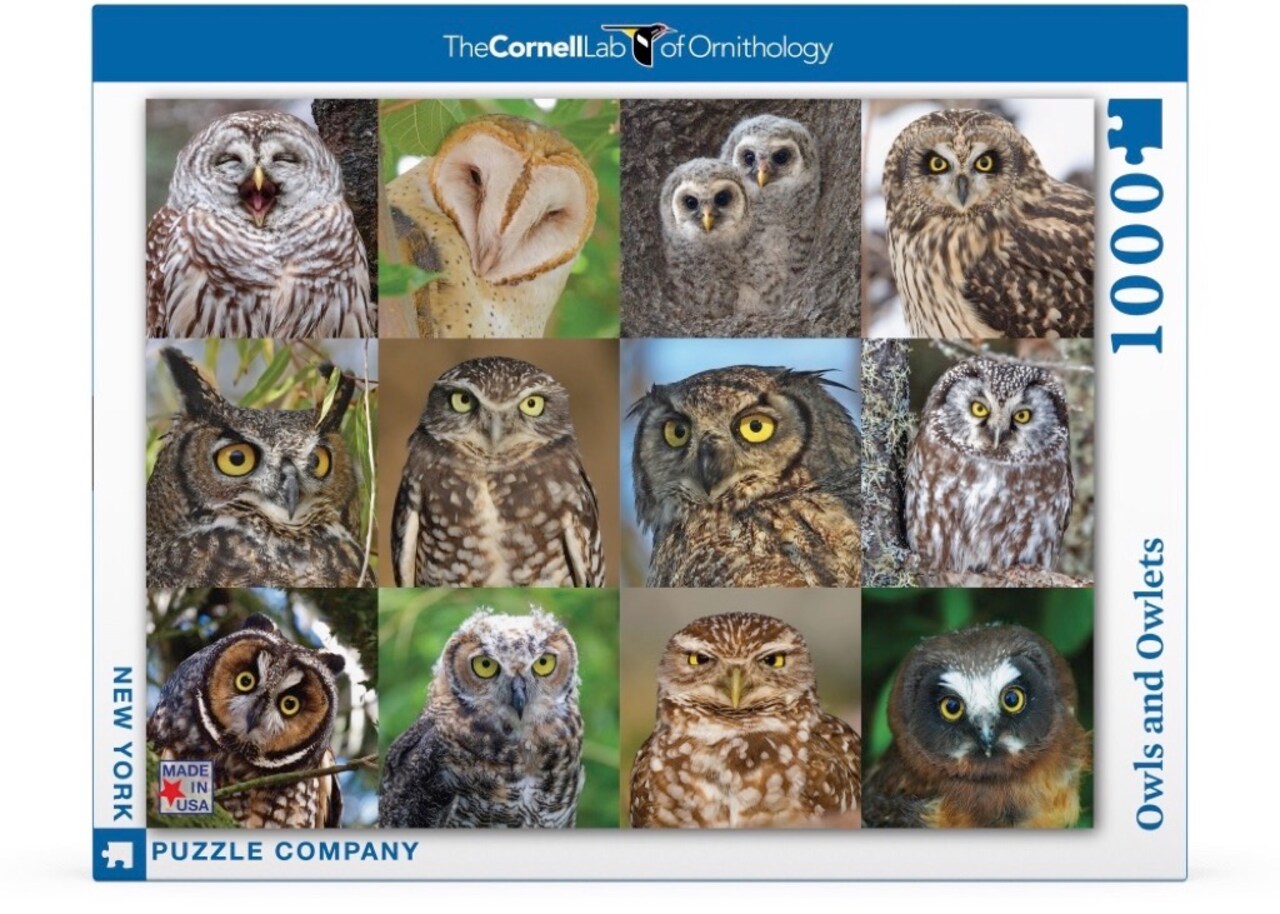 New York Puzzle Company Owls and Owlets 1000 Piece Piece Jigsaw Puzzle